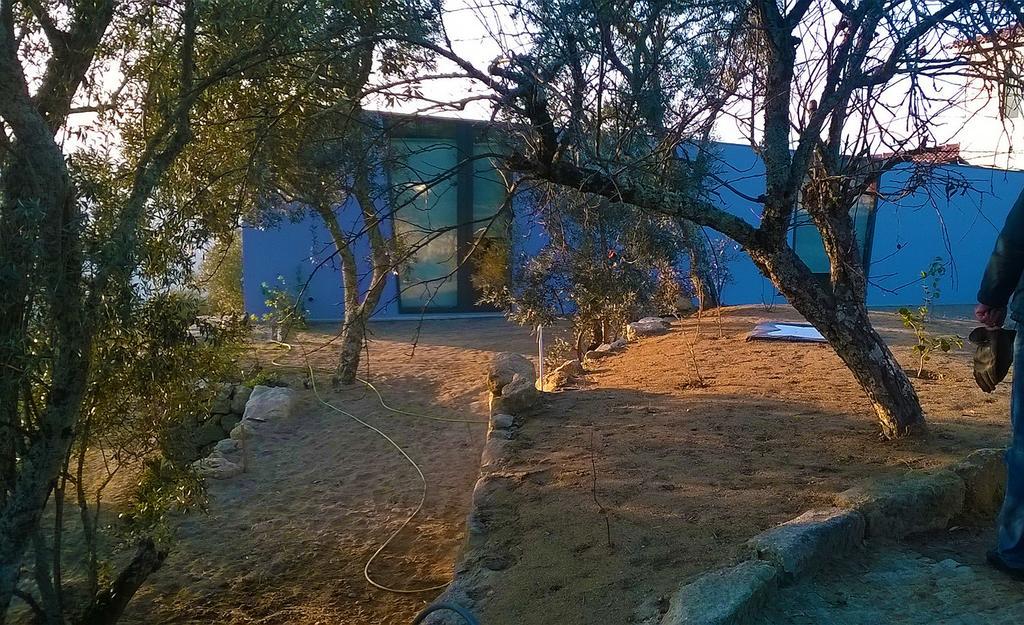 Arsdurium Douro Hotel Cinfaes Ngoại thất bức ảnh