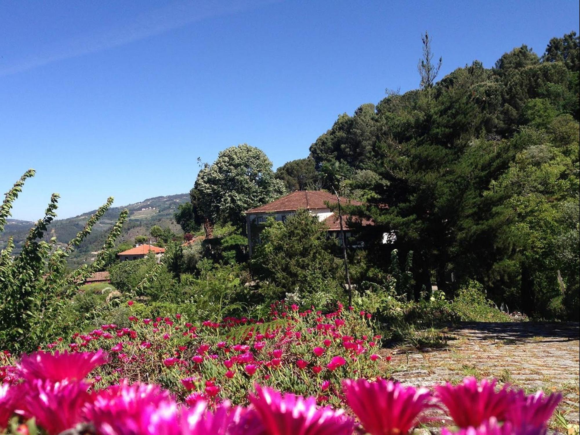 Arsdurium Douro Hotel Cinfaes Phòng bức ảnh