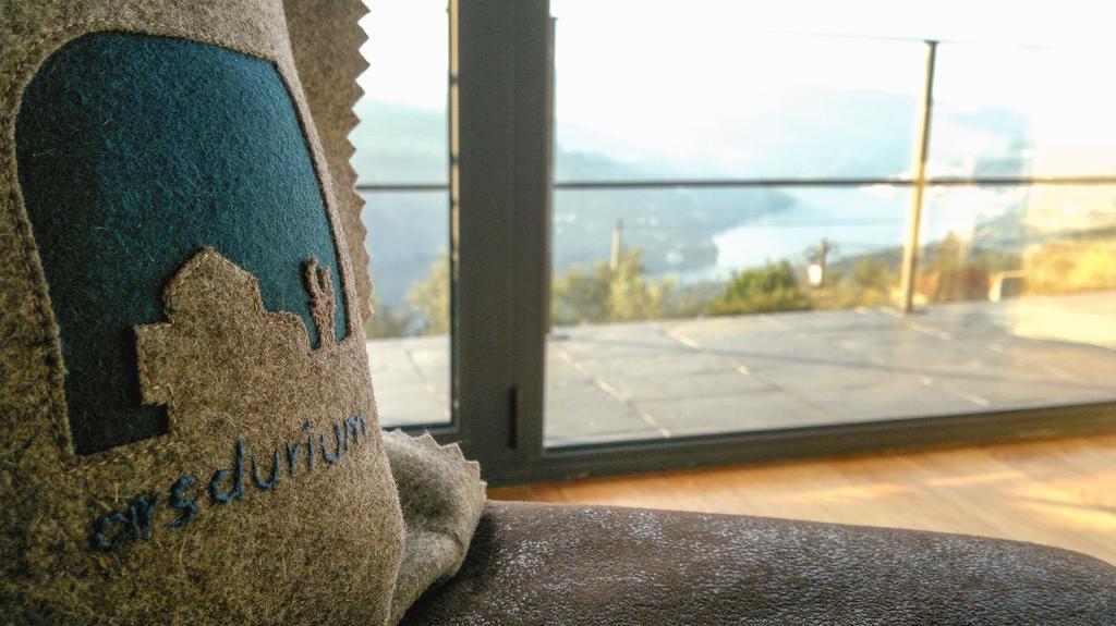 Arsdurium Douro Hotel Cinfaes Phòng bức ảnh