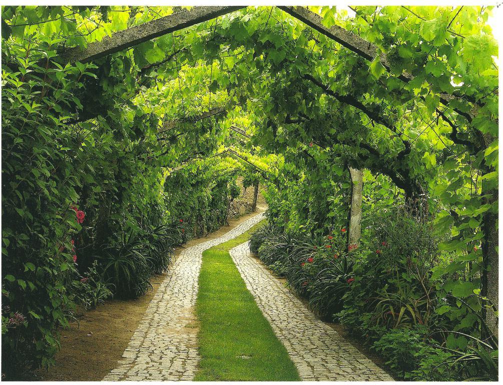 Arsdurium Douro Hotel Cinfaes Ngoại thất bức ảnh