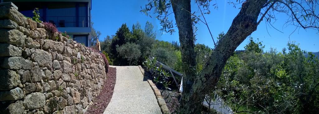 Arsdurium Douro Hotel Cinfaes Ngoại thất bức ảnh